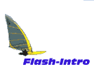 Flash-Intro